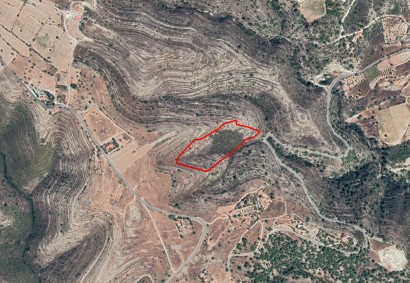 Agios Georgios Agricultural Land For Sale | C10981