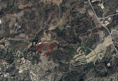 Kalo Chorio Lemesou Agricultural Land For Sale | C10992