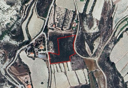 Laneia, Limassol Agricultural Land For Sale | C10998