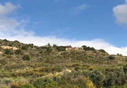 Peristerona Pafou Agricultural Land For Sale | C11016