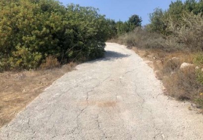 Peristerona Pafou Agricultural Land For Sale | C11017