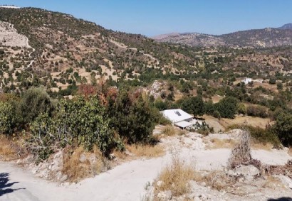Steni, Paphos Agricultural Land For Sale | C11019