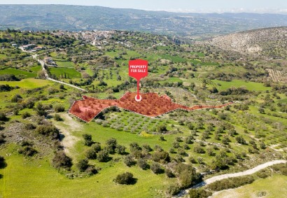 Meladeia, Paphos Agricultural Land For Sale | C11020
