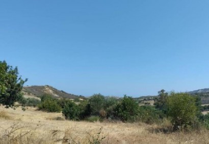 Steni, Paphos Agricultural Land For Sale | C11023