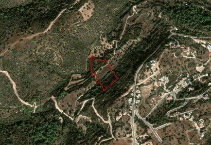 Neo Chorio Pafou Agricultural Land For Sale | C11097
