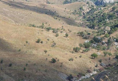 Koilineia, Paphos Agricultural Land For Sale | C11263