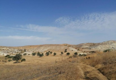Analiontas, Nicosia Agricultural Land For Sale | C11303