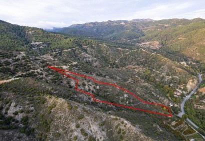 Pelendri, Limassol Agricultural Land For Sale | C11481