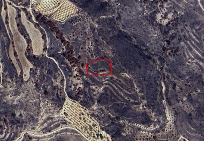 Agios Dimitrianos Agricultural Land For Sale | C11503