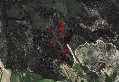 Pegeia, Paphos Agricultural Land For Sale | C11504