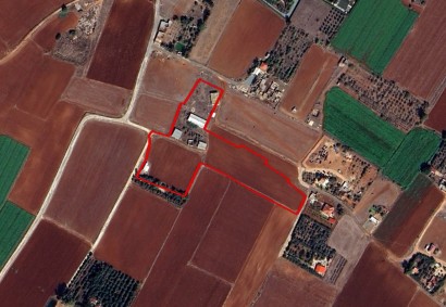 Avgorou, Famagusta Agricultural Land For Sale | C11546