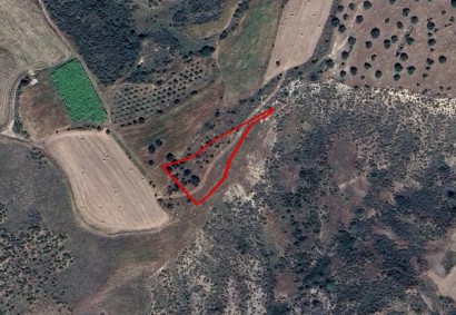 Pelathousa, Paphos Agricultural Land For Sale | C11552