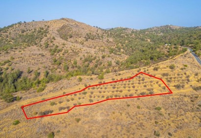 Agia Marina Xyliatou Agricultural Land For Sale | C11554