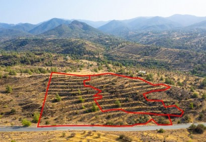 Agia Marina Xyliatou Agricultural Land For Sale | C11555