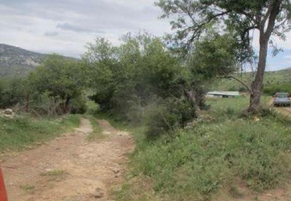 Kelokedara, Paphos Agricultural Land For Sale | C11563