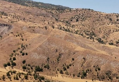 Kelokedara, Paphos Agricultural Land For Sale | C11567