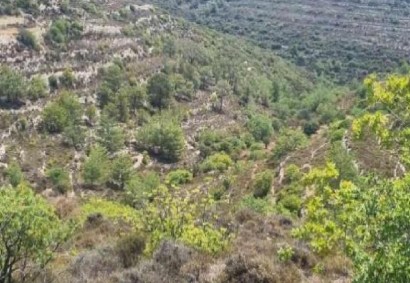 Agios Therapon Agricultural Land For Sale | C11663