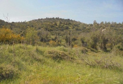 Mathikoloni, Limassol Agricultural Land For Sale | C11695
