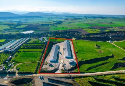 Agios Ioannis, Limassol Agricultural Land For Sale | C11707