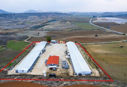Agios Ioannis, Limassol Agricultural Land For Sale | C11708