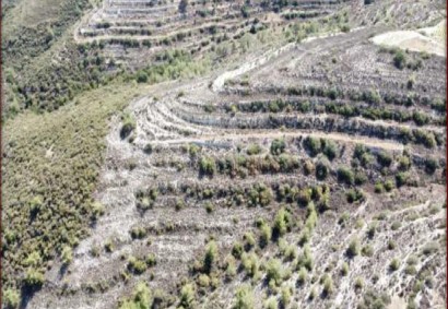 Agios Therapon Agricultural Land For Sale | C11710