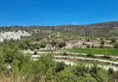 Kapileio, Limassol Agricultural Land For Sale | C11742