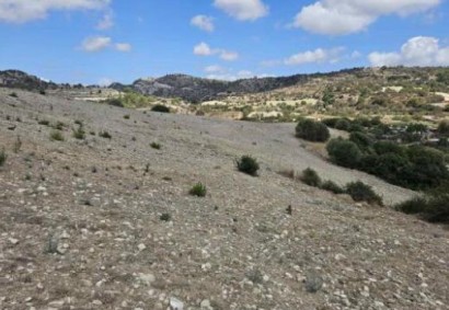 Amargeti, Paphos Agricultural Land For Sale | C11753