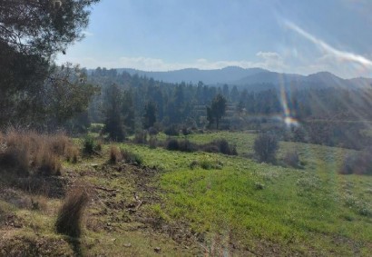 Kampia, Nicosia Agricultural Land For Sale | C11789
