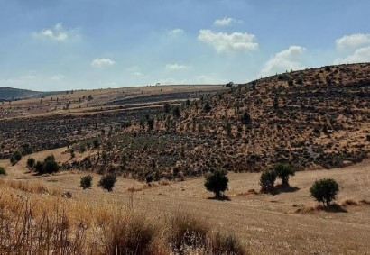 Lympia, Nicosia Agricultural Land For Sale | C11794