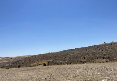Lympia, Nicosia Agricultural Land For Sale | C11795