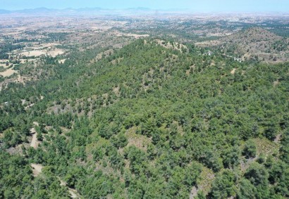 Klirou, Nicosia Agricultural Land For Sale | C11802