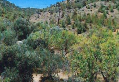 Fikardou, Nicosia Agricultural Land For Sale | C11803