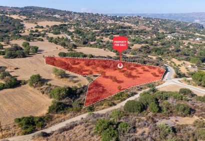 Meladeia, Paphos Agricultural Land For Sale | C11838