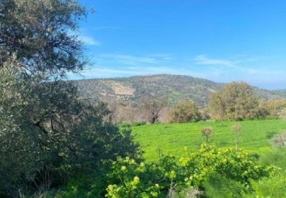 Peristerona Pafou Agricultural Land For Sale | C11839