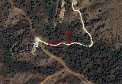 Evrychou, Nicosia Agricultural Land For Sale | C11842