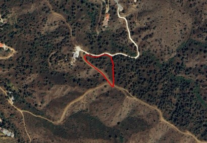 Evrychou, Nicosia Agricultural Land For Sale | C11843