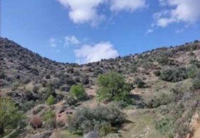 Kapileio, Limassol Agricultural Land For Sale | C11848