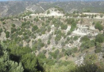 Kelokedara, Paphos Agricultural Land For Sale | C11856