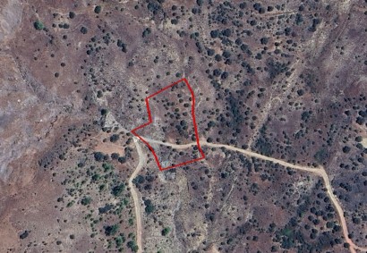 Pentalia, Paphos Agricultural Land For Sale | C11966