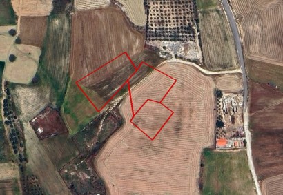 Palaiometocho, Nicosia Agricultural Land For Sale | C11981