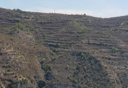 Koilani, Limassol Agricultural Land For Sale | C12071