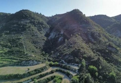 Agios Mamas, Limassol Agricultural Land For Sale | C12077