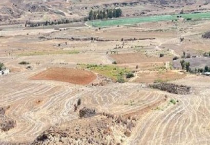 Agioi Trimithias Agricultural Land For Sale | C12083