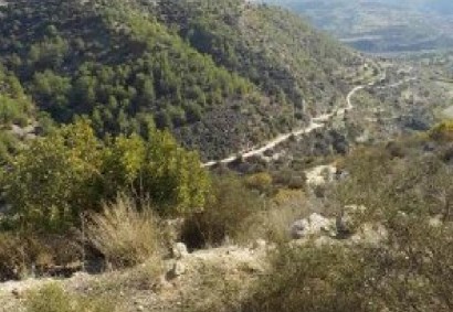 Kallepeia, Paphos Agricultural Land For Sale | C12163