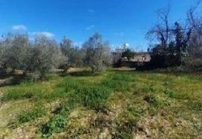 Koili, Paphos Residential Land For Sale | C12168