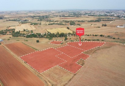 Avgorou, Famagusta Agricultural Land For Sale | C12172