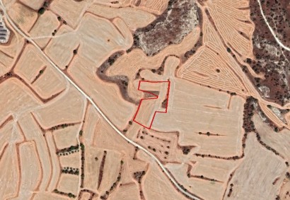 Athienou, Larnaca Agricultural Land For Sale | C12175