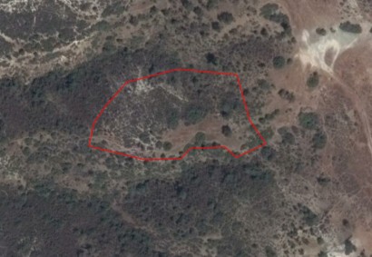 Ora, Larnaca Agricultural Land For Sale | C12176