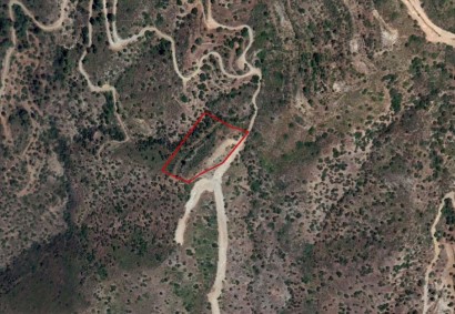 Lageia, Larnaca Agricultural Land For Sale | C12177