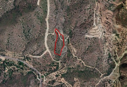Lageia, Larnaca Agricultural Land For Sale | C12178